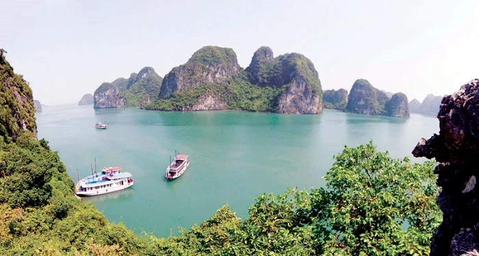 Khám phá Động Mê Cung – “viên ngọc kỳ bí” giữa lòng Vịnh Hạ Long