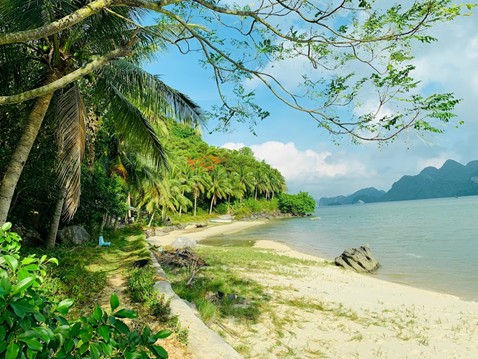 Đảo Lờm Bò – viên ngọc bí ẩn giữa lòng di sản thế giới vịnh Hạ Long