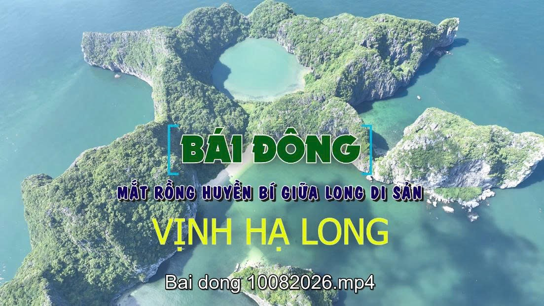 Bái Đông – mắt rồng huyền bí giữa lòng di sản vịnh Hạ Long