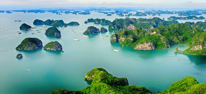 Chung tay bảo tồn đa dạng sinh học vịnh Hạ Long trước biến đổi khí hậu và áp lực phát triển kinh tế