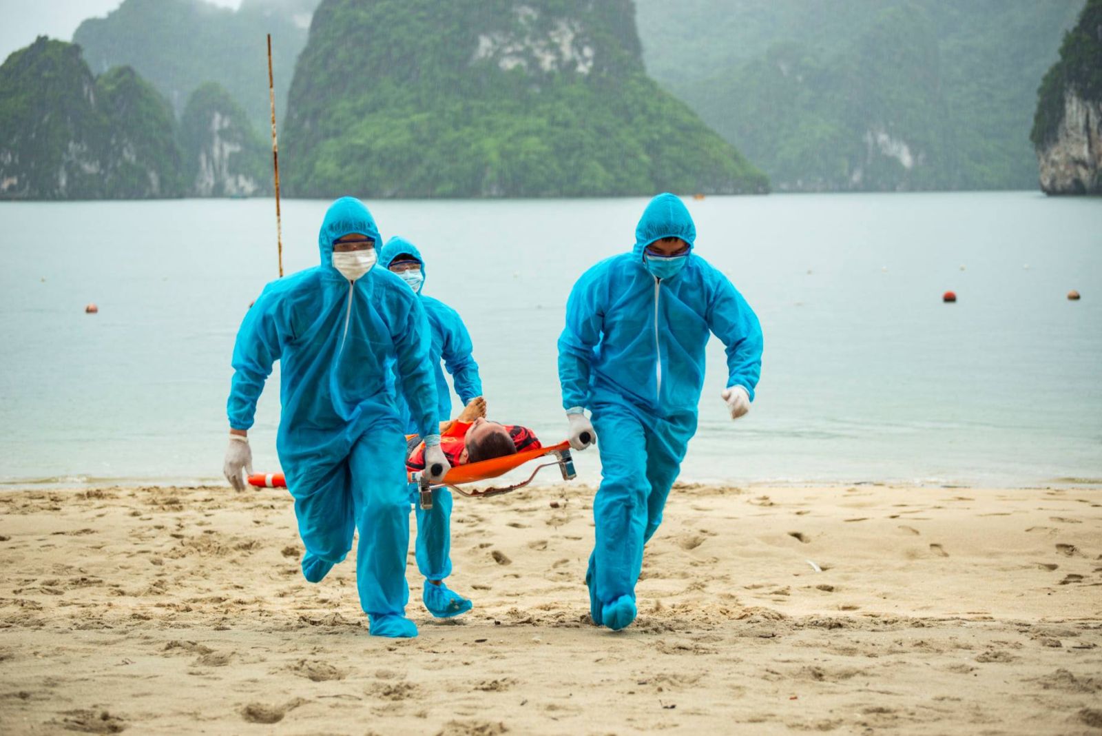 Phương án khoanh vùng bảo tồn một số rạn san hô có độ phủ cao trên vịnh Hạ Long