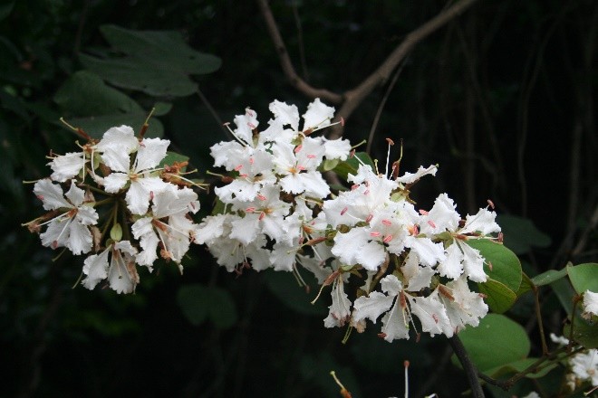 Hạ Long khi mùa thu về