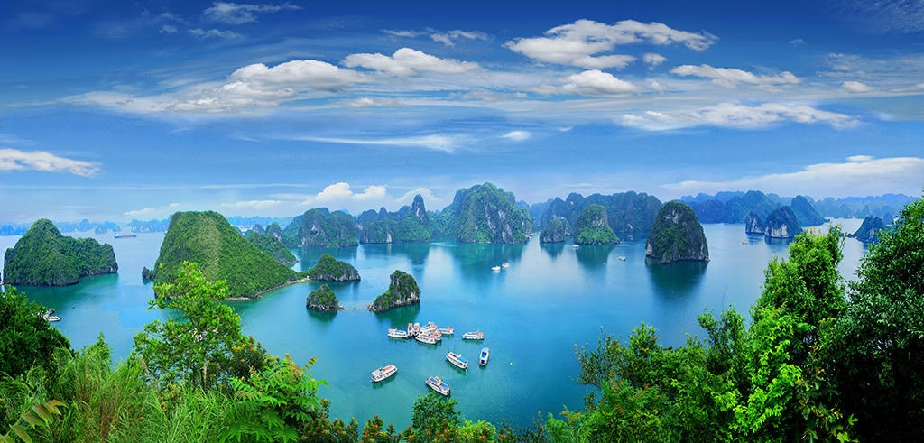 Từ những 'cánh buồm xanh' trên Vịnh Hạ Long đến tương lai du lịch thủy bền vững của Việt Nam