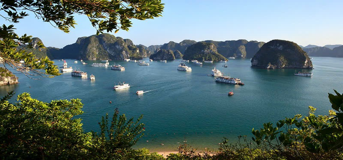 Những nụ cười cống hiến