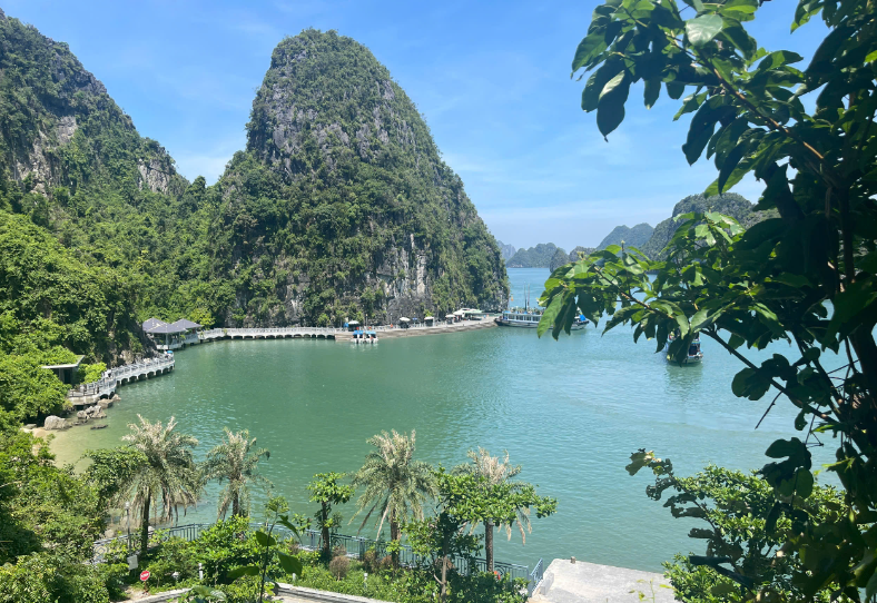 Cùng giữ vịnh Hạ Long xanh