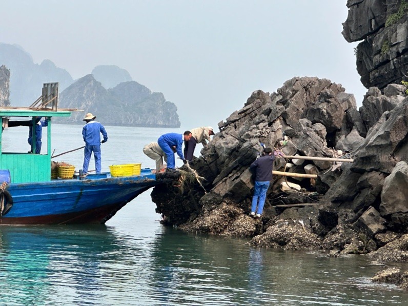 Chủ nhật xanh vì một Di sản thế giới xanh hơn mỗi ngày