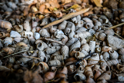 Bí ẩn nền văn hóa Soi Nhụ