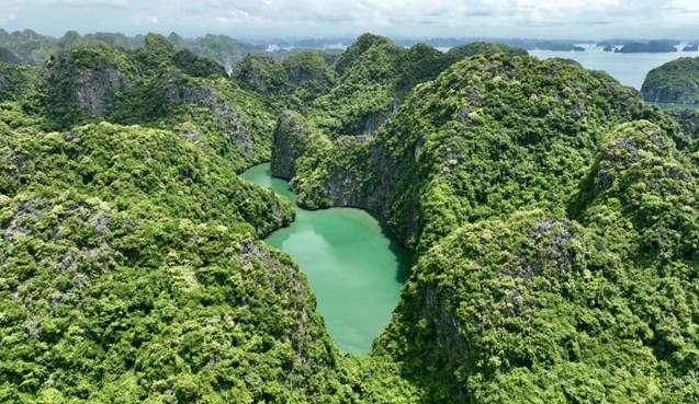Siết chặt kỷ cương, tăng cường “lá chắn xanh” bảo vệ rừng và Di sản
