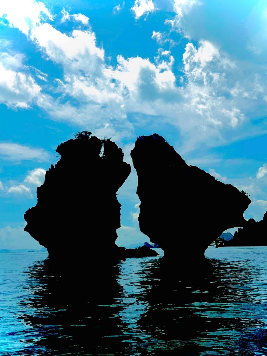 Phê duyệt nhiệm vụ lập quy hoạch bảo tồn, phát huy tiềm năng vịnh Hạ Long