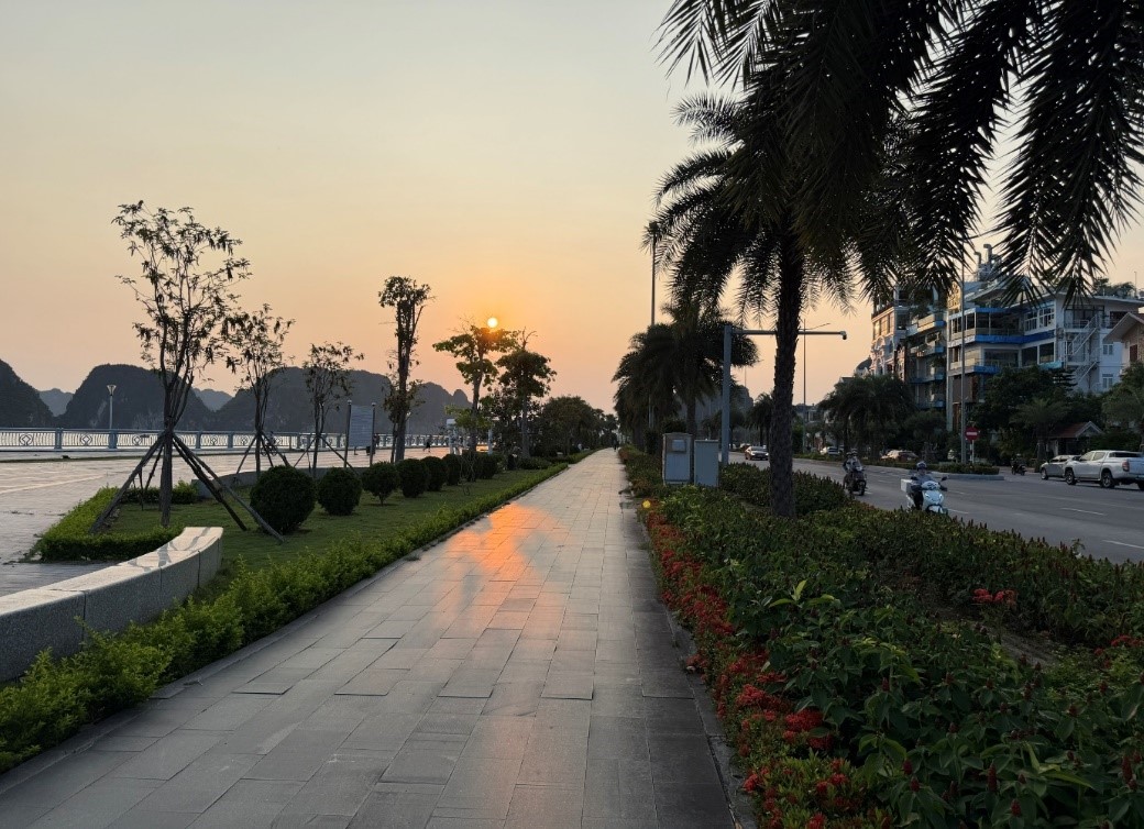 Một chiều bình yên bên vịnh Hạ Long