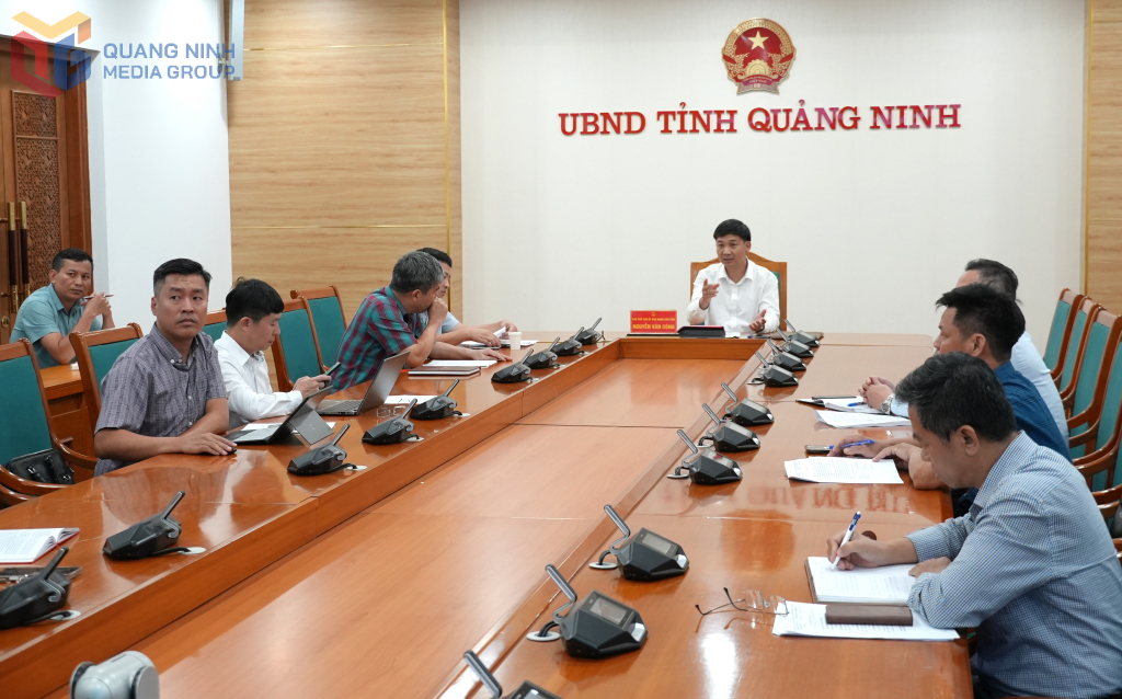 Sớm triển khai dịch vụ cung cấp bản tin cảnh báo dông, lốc trên vịnh Hạ Long, vịnh Bái Tử Long