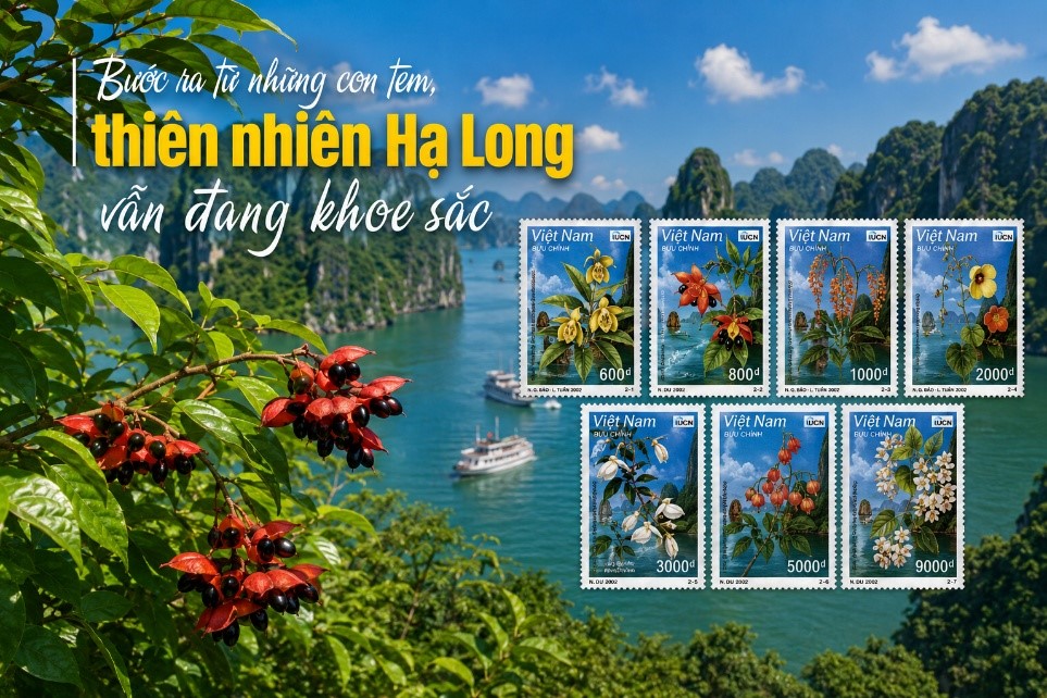 Bước ra từ những con tem, thiên nhiên Hạ Long vẫn đang khoe sắc