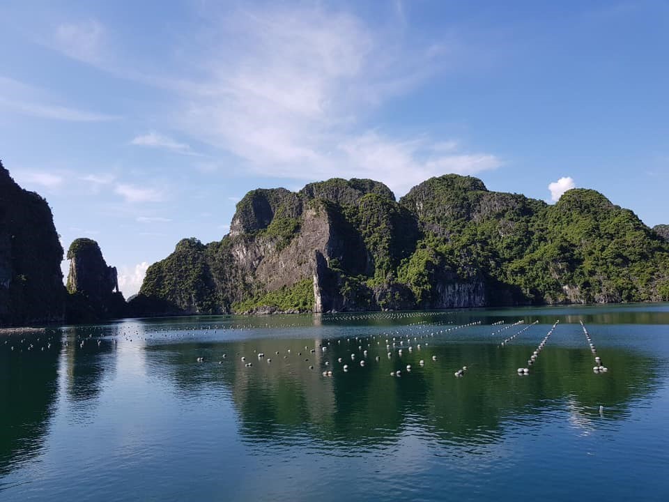 Ngọc trai Hạ Long: Hành trình từ nghề nuôi cấy kỳ công đến tuyệt tác trang sức di sản biển