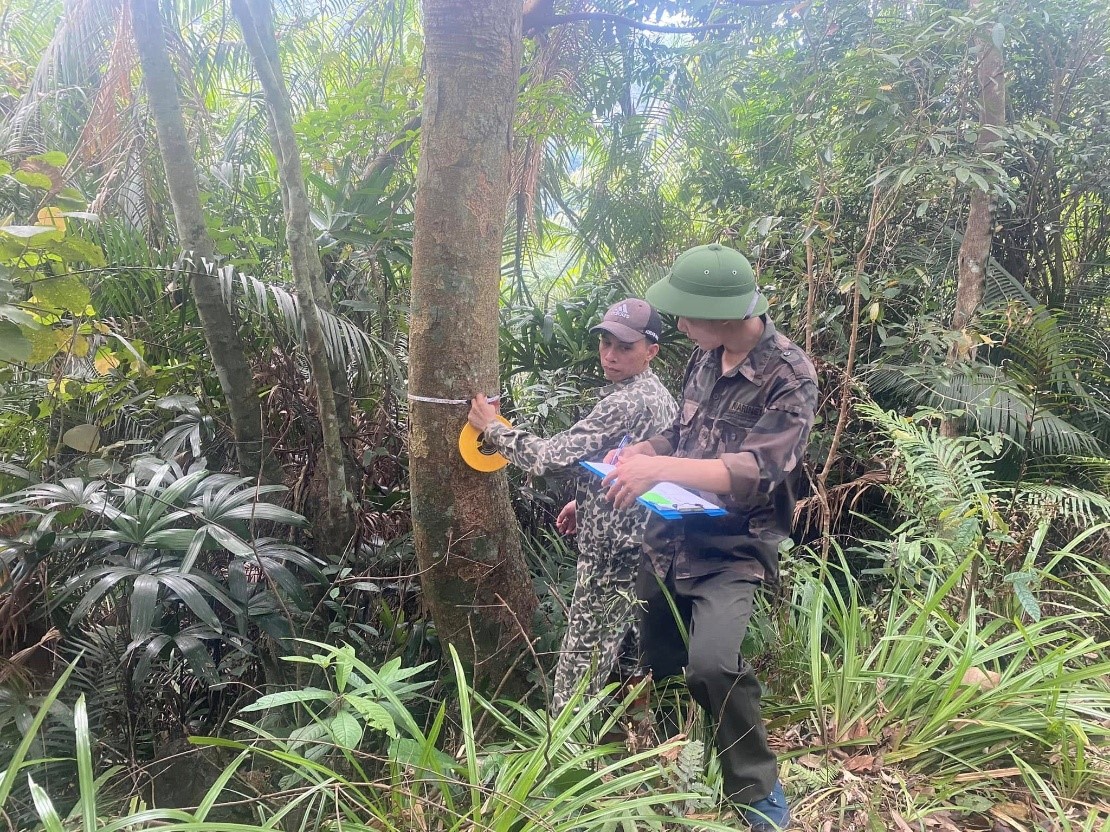 Gìn giữ nguồn gen quý cho tương lai