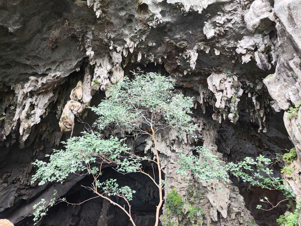 Hang Đầu Gỗ, hang động rêu phong "cổ kính" trên vịnh Hạ Long