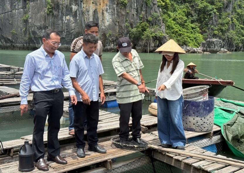 Trung tâm Bảo tồn Sinh vật biển và Phát triển Cộng đồng học tập kinh nghiệm quản lý, bảo tồn bền vững tại vịnh Hạ Long