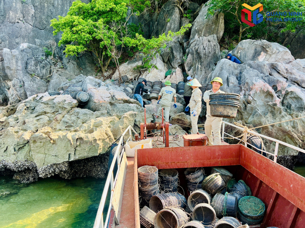 Thu gom, tiêu hủy 7.000 lồng sau nuôi trồng thủy sản trái phép trên Vịnh Hạ Long